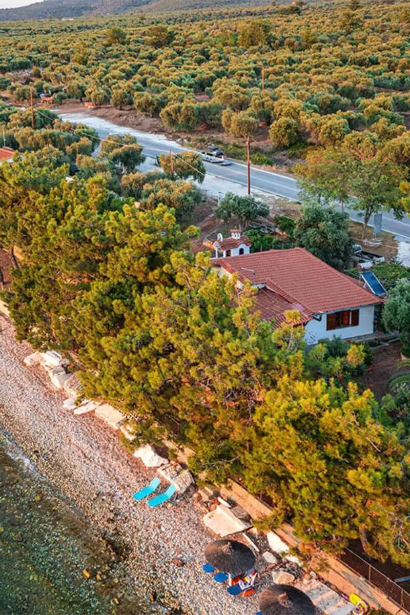 pine beach house from above