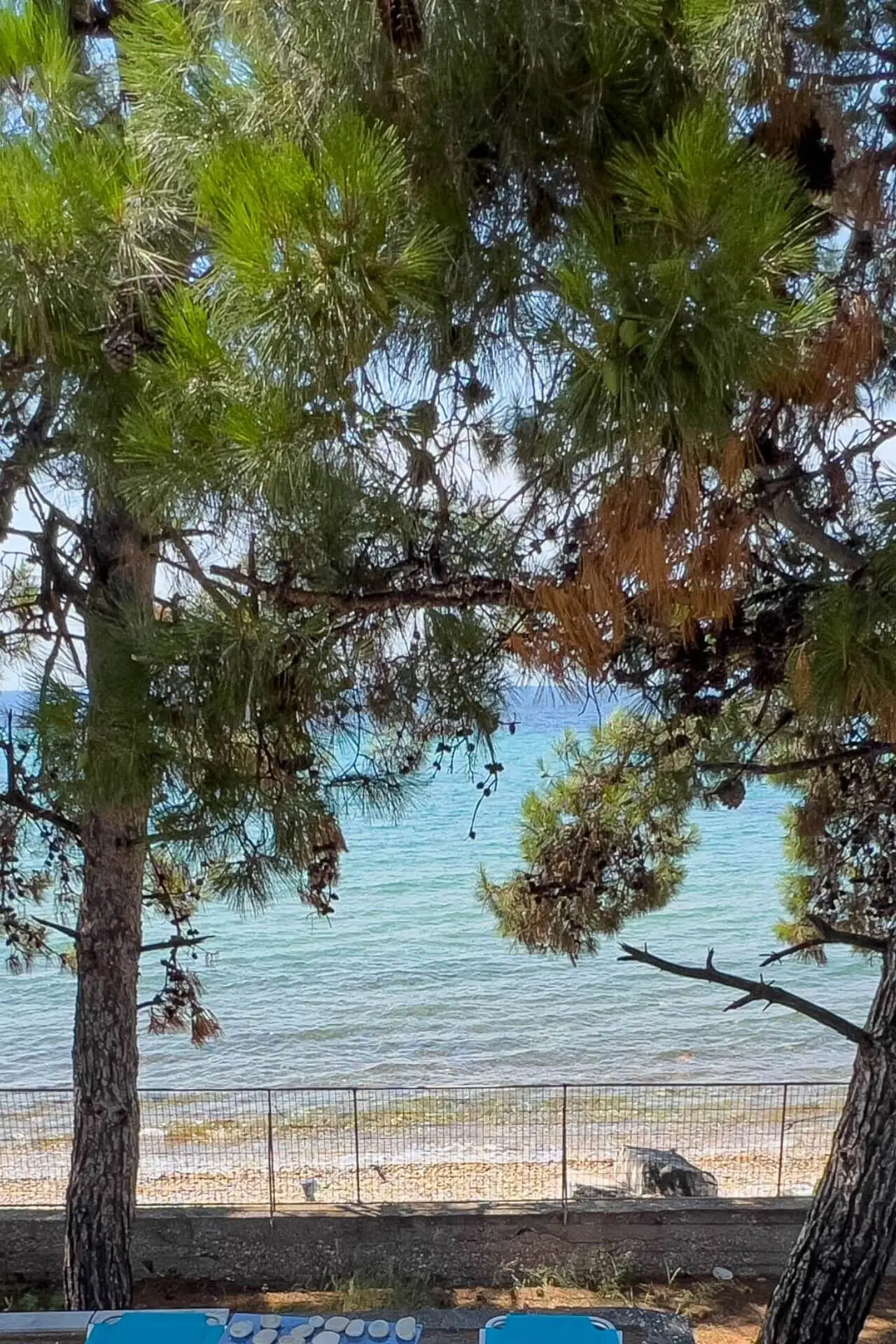 pine beach house view to water